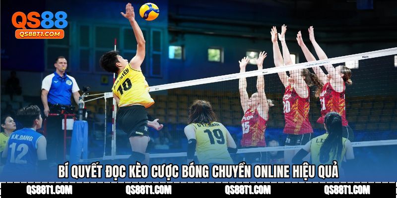 Bí quyết đọc kèo cược bóng chuyền online hiệu quả