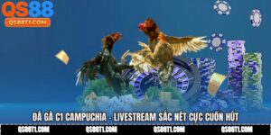 Đá Gà C1 Campuchia - Livestream Sắc Nét Cực Cuốn Hút