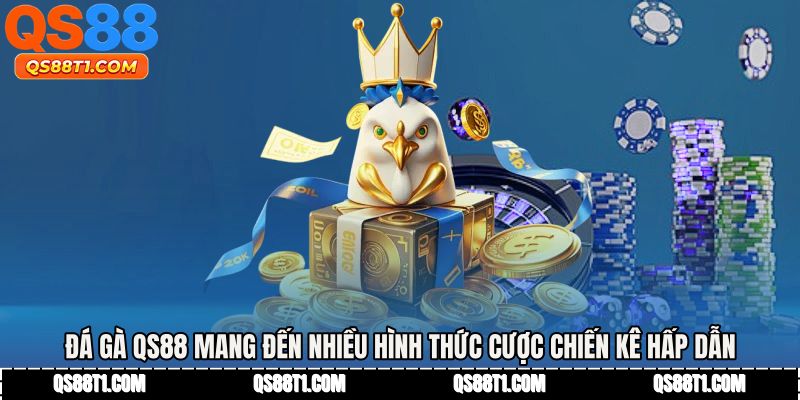 Đá gà QS88 mang đến nhiều hình thức cược chiến kê hấp dẫn