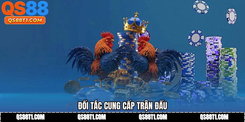 Đối tác cung cấp trận đấu 