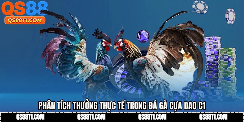 Phân tích thưởng thực tế trong Đá gà cựa dao c1