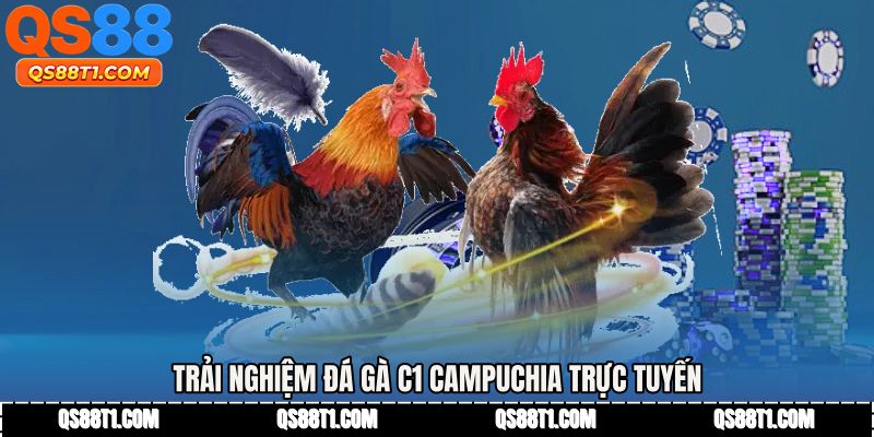 Trải nghiệm Đá gà c1 campuchia trực tuyến